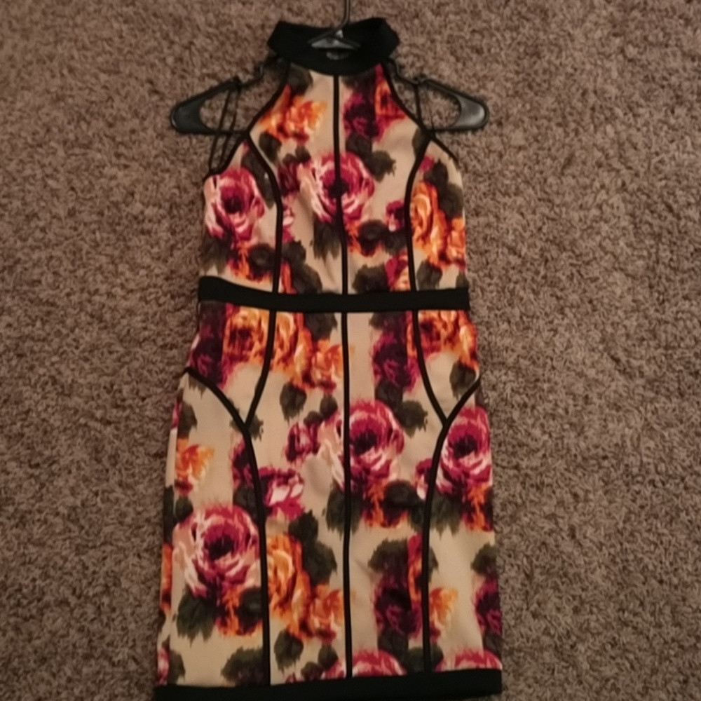 Roses dress
